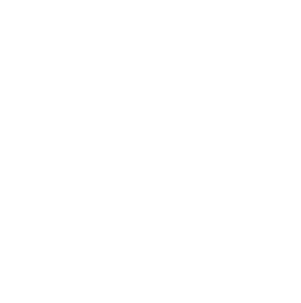 diaphragm